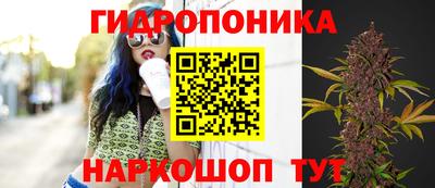 дурь Будённовск