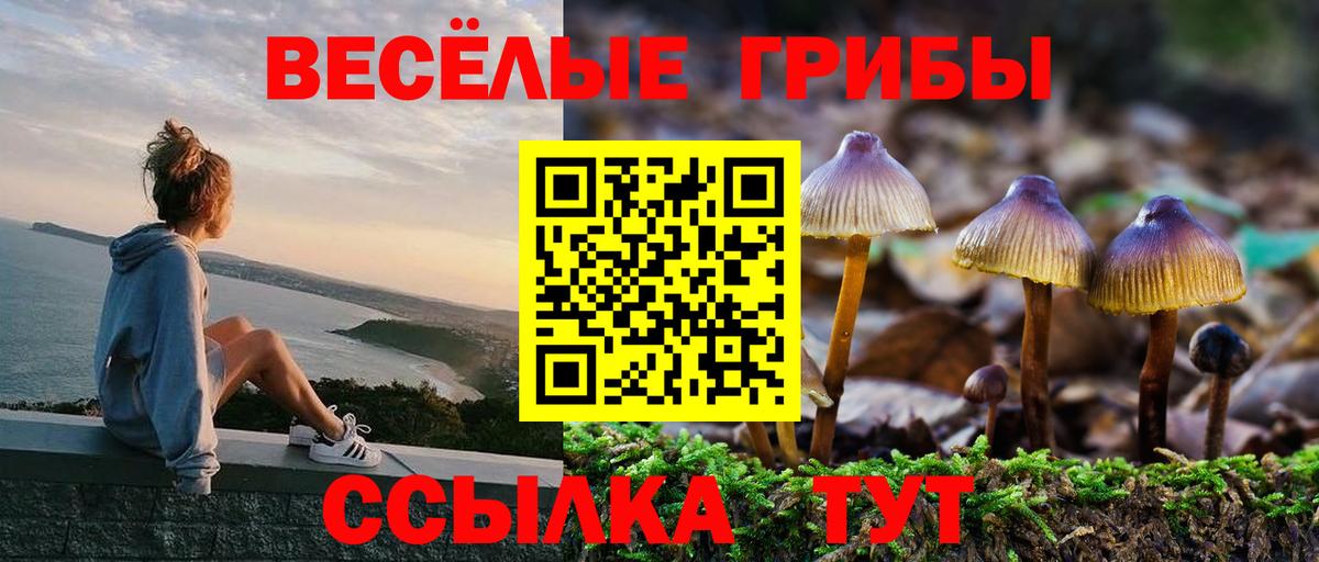 Псилоцибиновые грибы мицелий  Вход с VPN  Псилоцибиновые грибы Magic Shrooms  Серов 